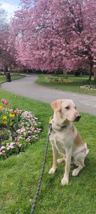 img202304260849211907258098630234066